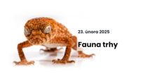 Fauna trhy - Výstaviště Černá louka